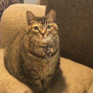 Meet your Posher, Joann